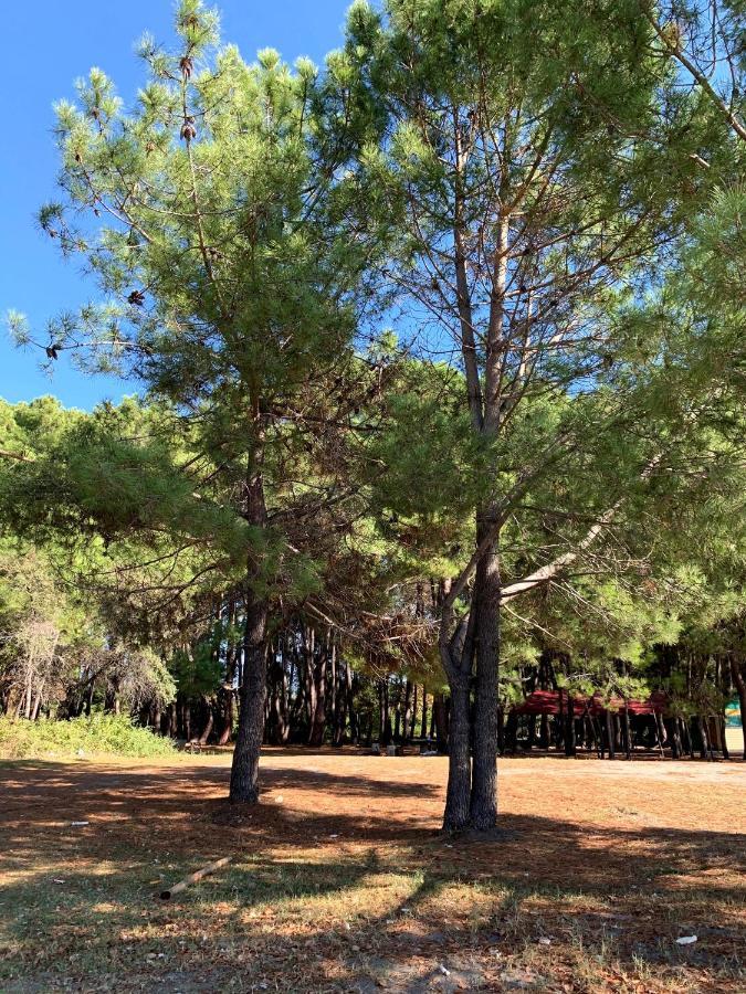 Mini Hotel Amra Pizunda Bagian luar foto